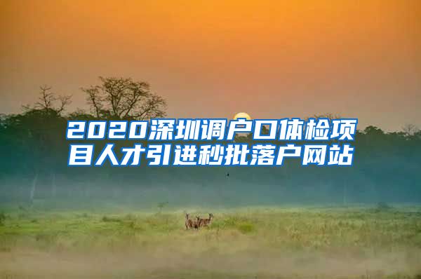 2020深圳调户口体检项目人才引进秒批落户网站