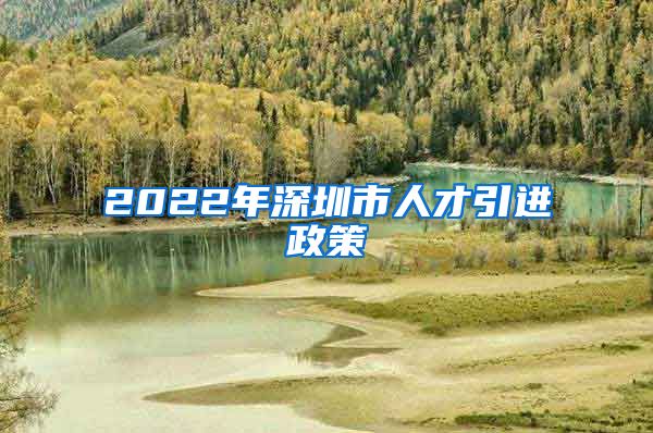 2022年深圳市人才引进政策