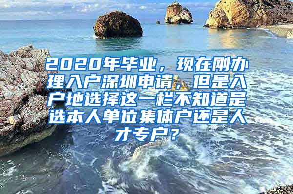 2020年毕业，现在刚办理入户深圳申请，但是入户地选择这一栏不知道是选本人单位集体户还是人才专户？