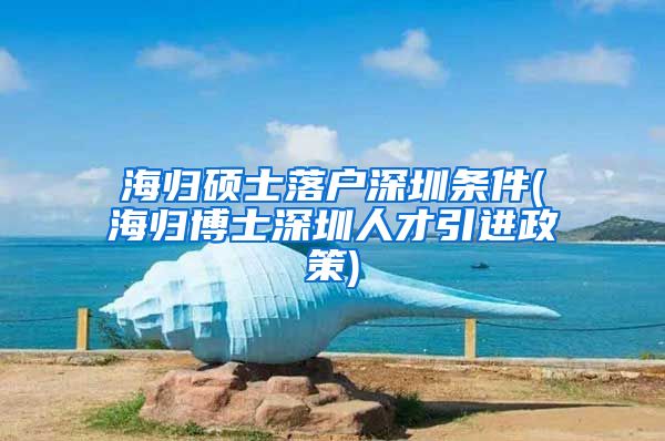 海归硕士落户深圳条件(海归博士深圳人才引进政策)