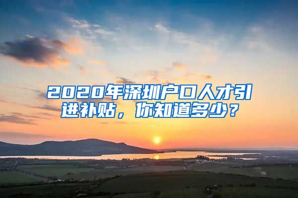 2020年深圳户口人才引进补贴，你知道多少？