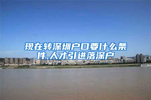 现在转深圳户口要什么条件,人才引进落深户