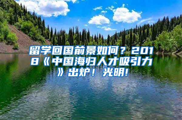 留学回国前景如何？2018《中国海归人才吸引力》出炉！光明!