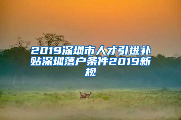 2019深圳市人才引进补贴深圳落户条件2019新规