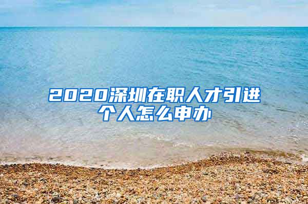 2020深圳在职人才引进个人怎么申办